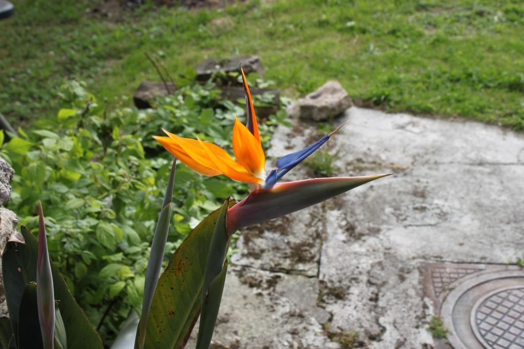La Eria De Colombres Villa Rum bild